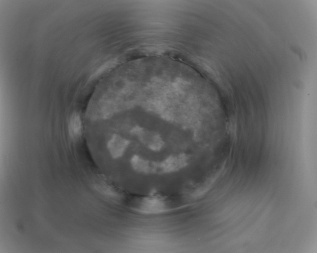 X0000113920335200910090941