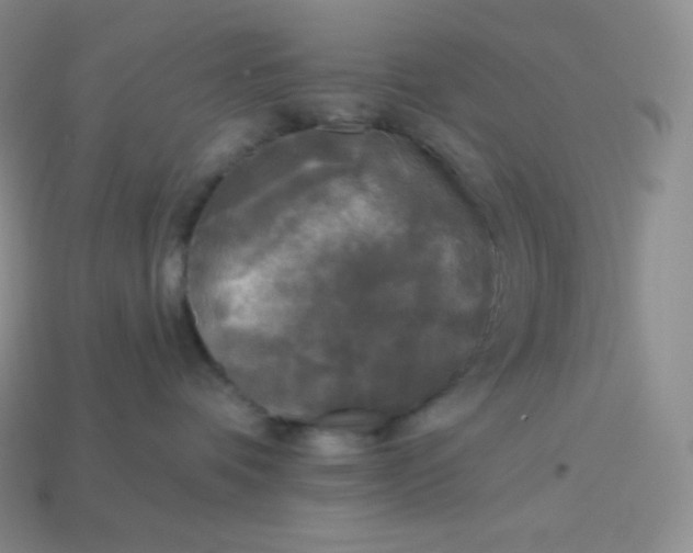 X0000113920336200910090941