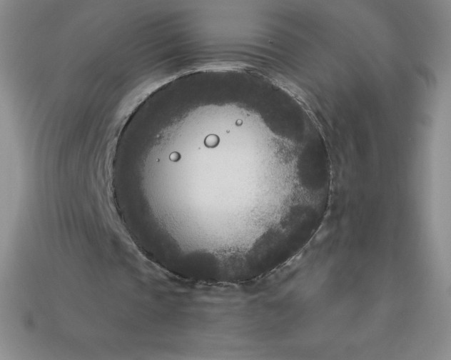 X0000113920337200910090941