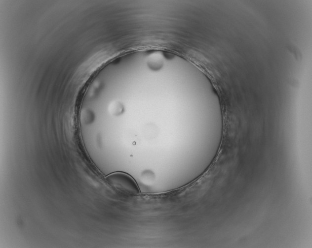 X0000113920338200910090941