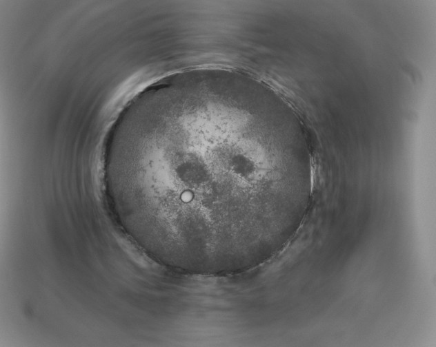 X0000113920339200910090941
