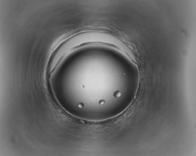 X0000113920340200910090941