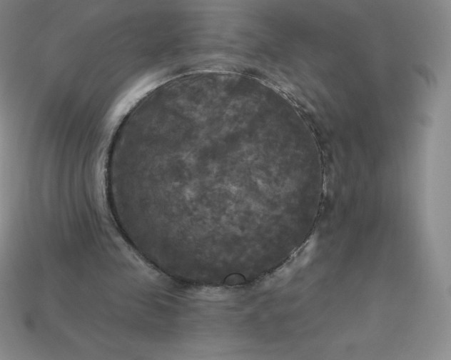 X0000113920341200910090941