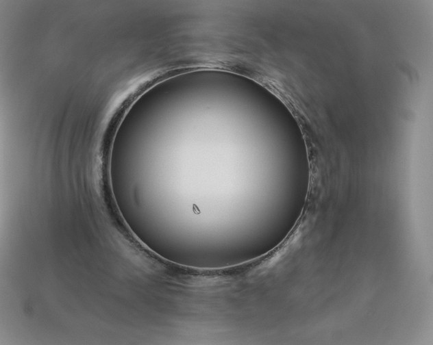 X0000113920342200910090941