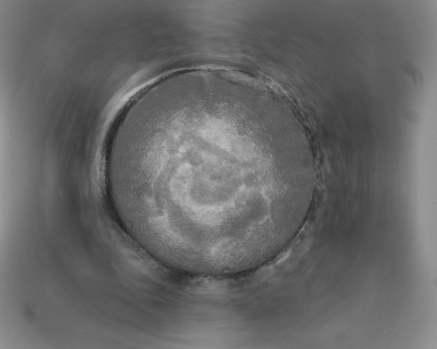 X0000113920343200910090941
