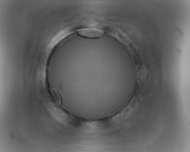X0000113920344200910090941