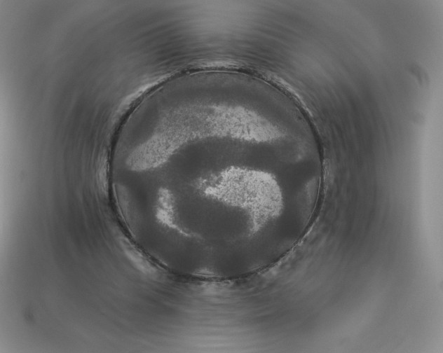 X0000113920345200910090941