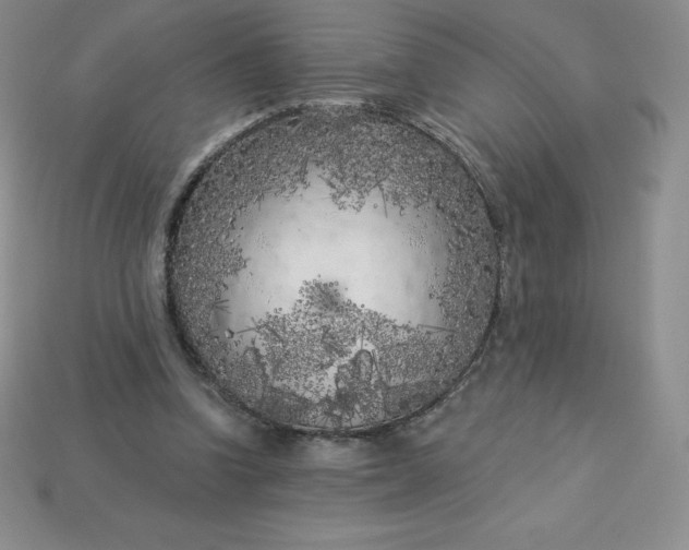 X0000113920346200910090941
