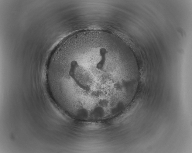 X0000113920347200910090941