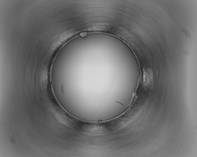 X0000113920348200910090941