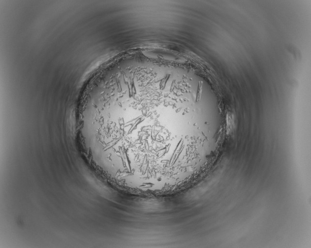 X0000113920349200910090941