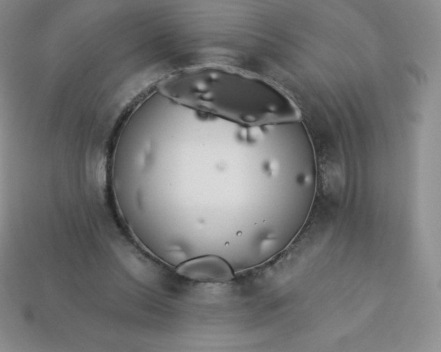 X0000113920350200910090941