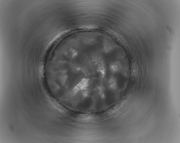 X0000113920351200910090941