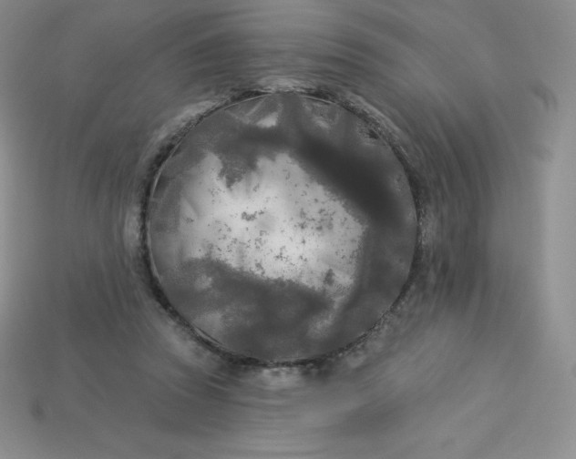 X0000113920353200910090941