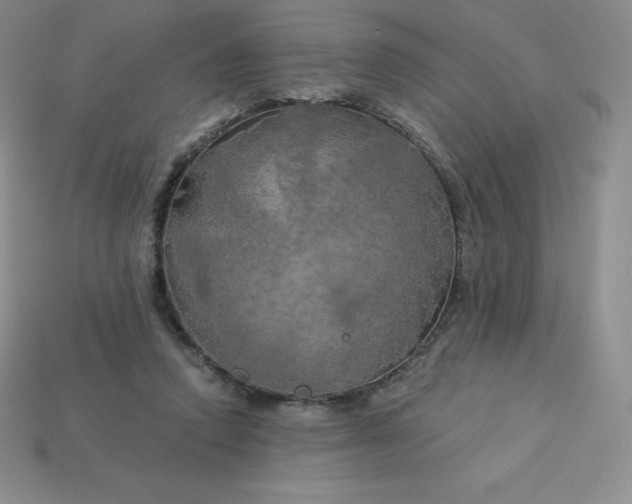 X0000113920354200910090941