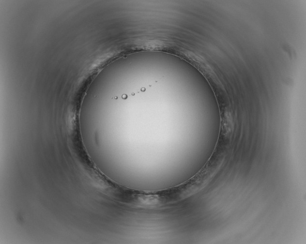 X0000113920355200910090941