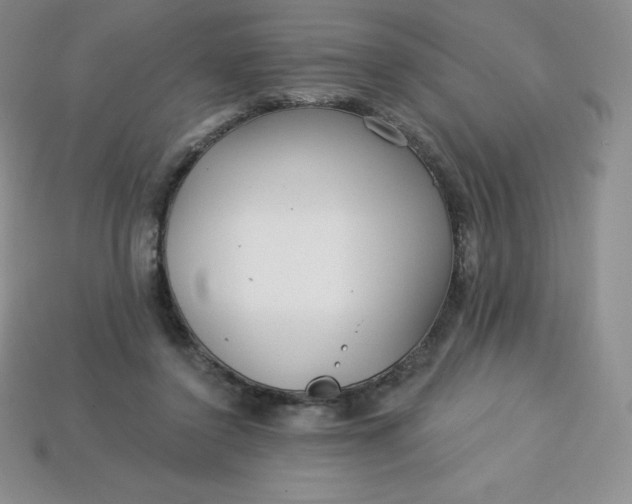 X0000113920356200910090941