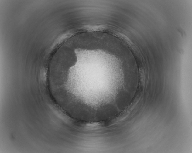 X0000113920357200910090941