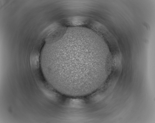 X0000113920360200910090941