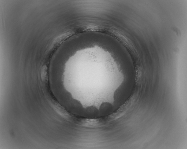 X0000113920361200910090941