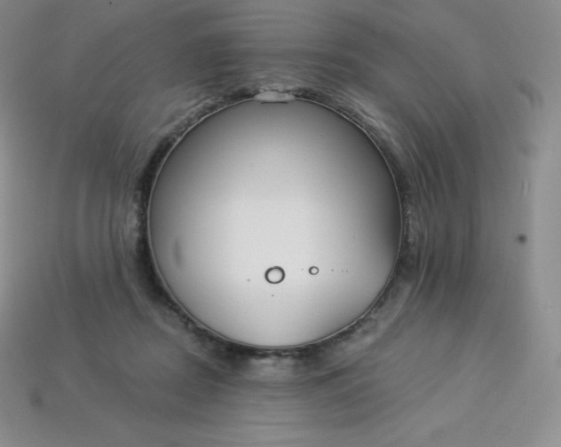 X0000113920362200910090941