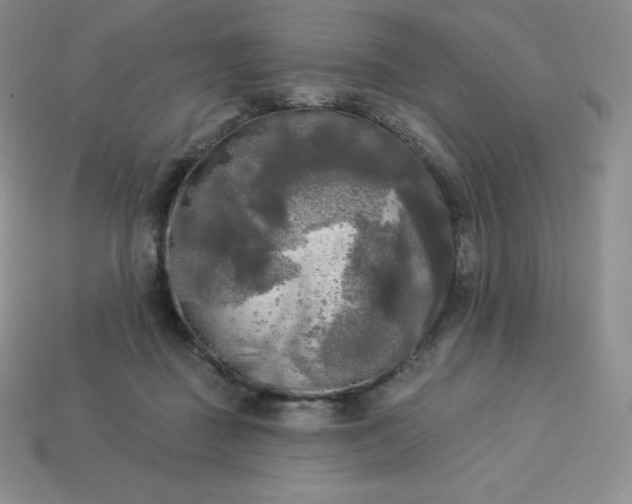 X0000113920363200910090941