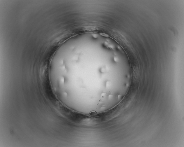 X0000113920364200910090941