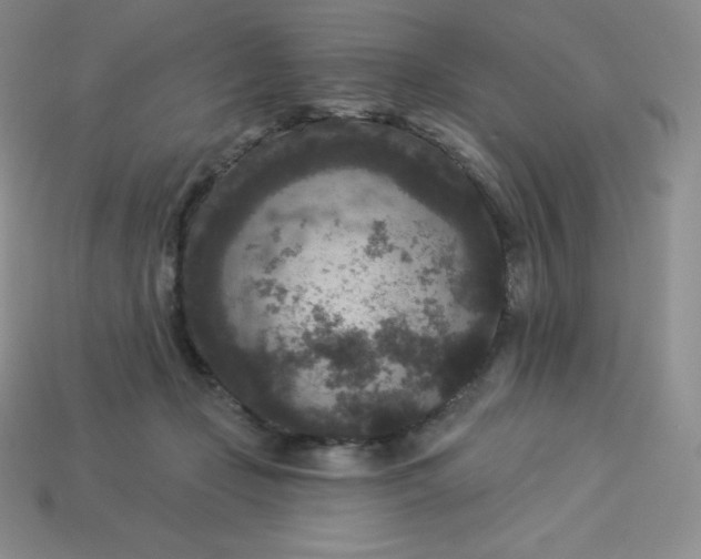 X0000113920365200910090941