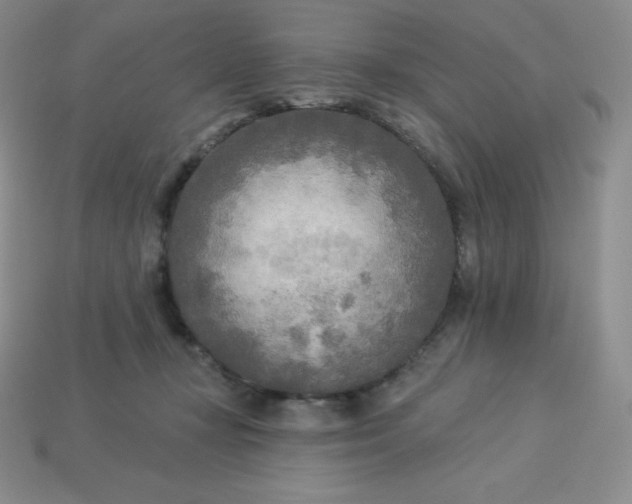 X0000113920367200910090941
