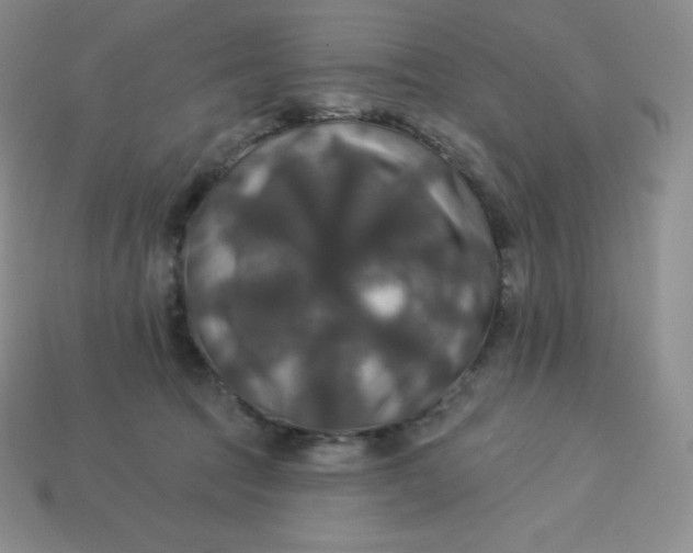X0000113920369200910090941