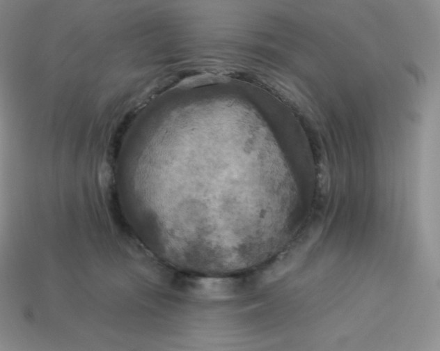 X0000113920371200910090941