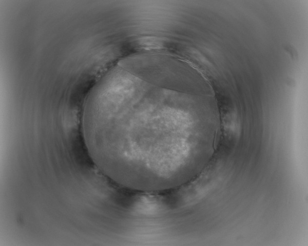 X0000113920372200910090941