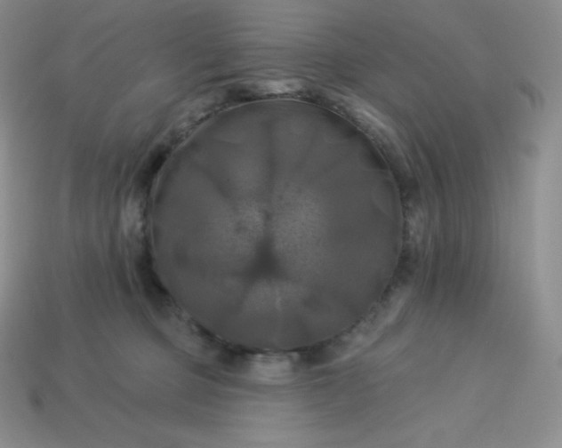 X0000113920373200910090941