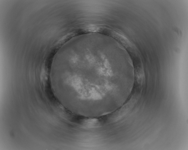 X0000113920374200910090941