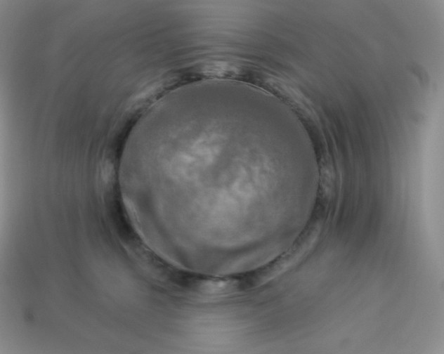 X0000113920375200910090941