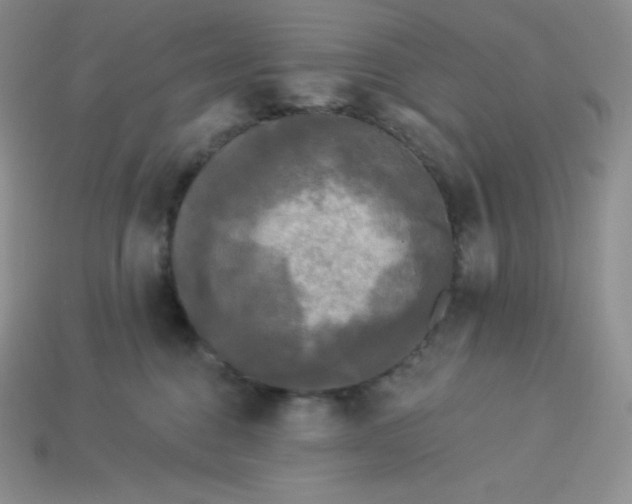 X0000113920376200910090941