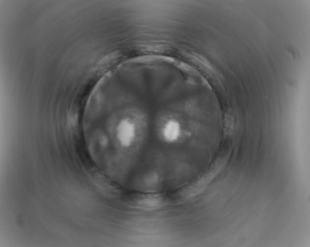 X0000113920377200910090941