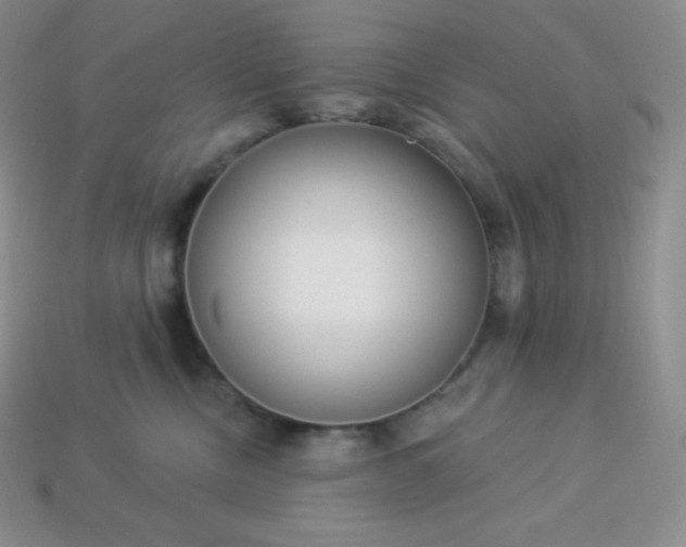 X0000113920378200910090941