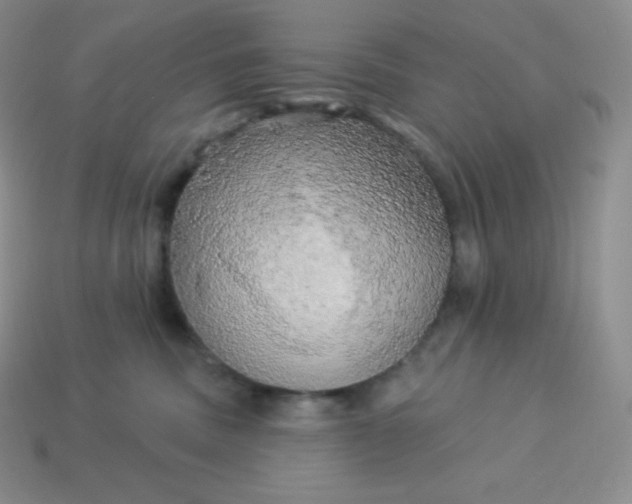 X0000113920379200910090941