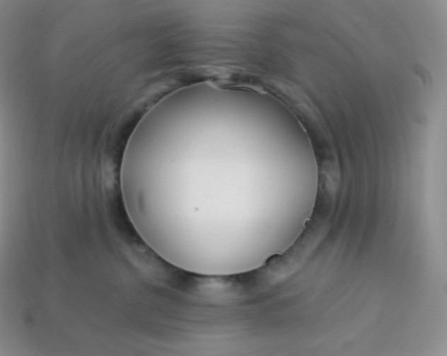 X0000113920380200910090941