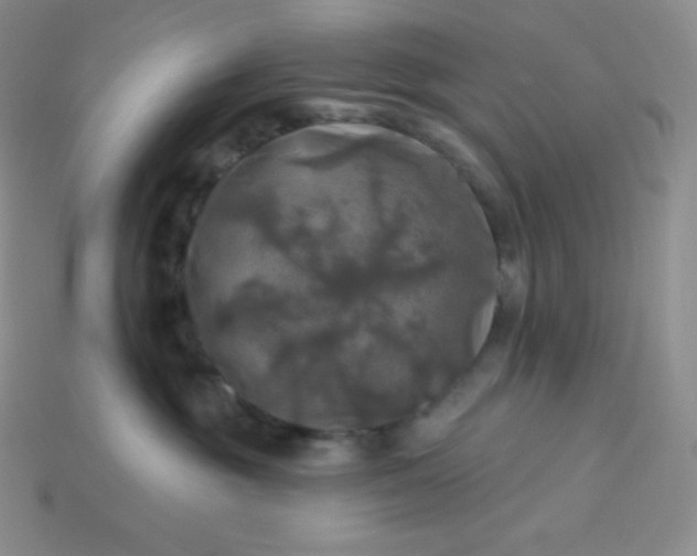 X0000113920381200910090941