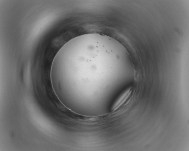 X0000113920382200910090941