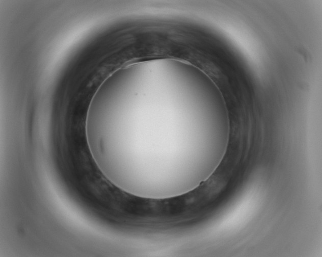 X0000113920383200910090941
