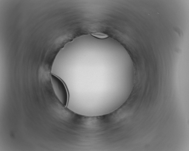 X0000113920384200910090941