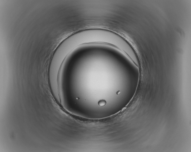 X0000113920385200910090941