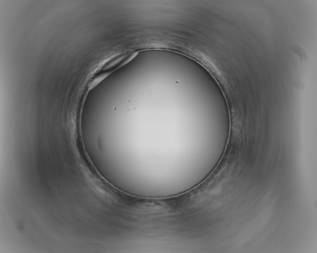 X0000113920386200910090941