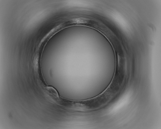 X0000113920387200910090941