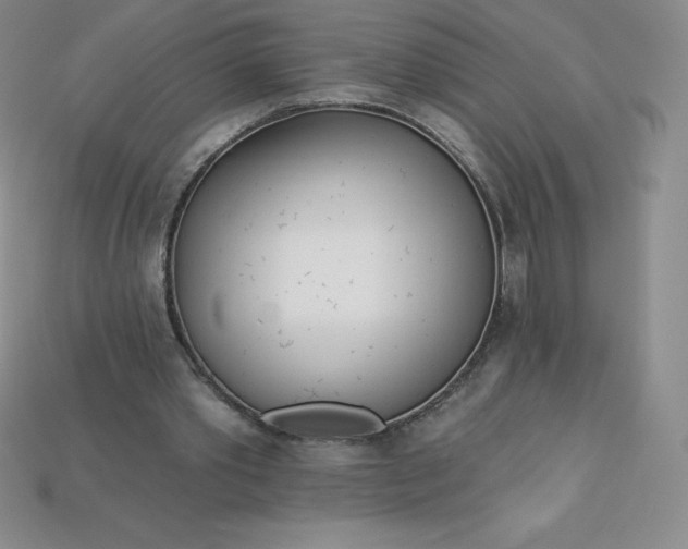 X0000113920389200910090941