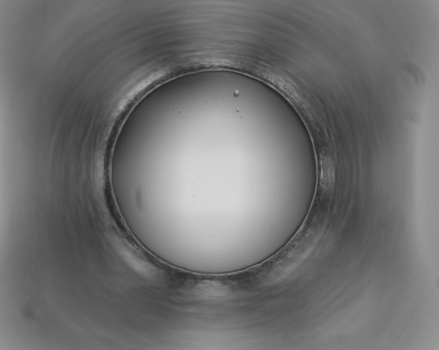 X0000113920390200910090941