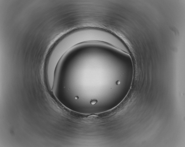 X0000113920391200910090941